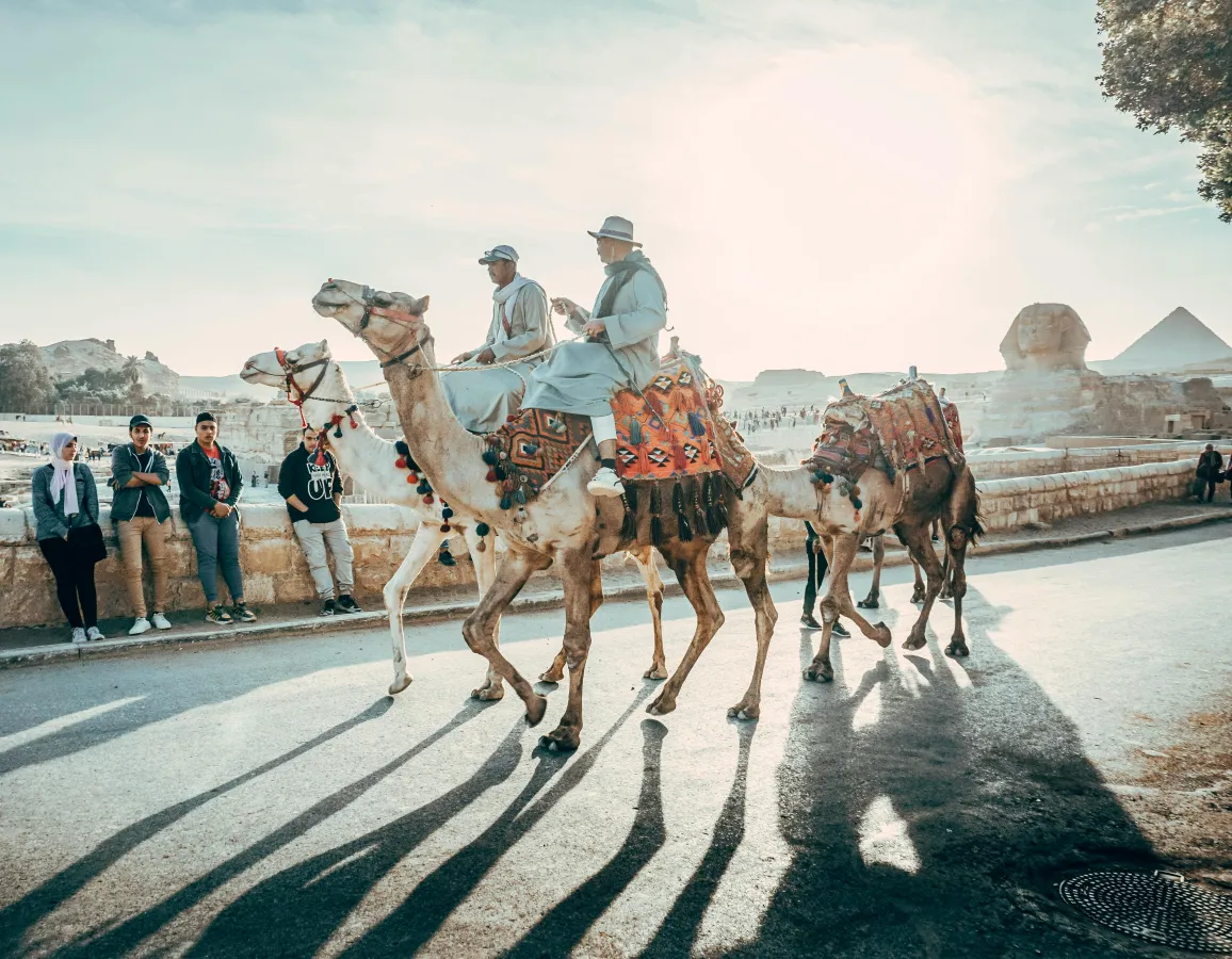 Visite Privée des Pyramides de Gizeh et du Grand Musée Égyptien | Egypt Tours VIP